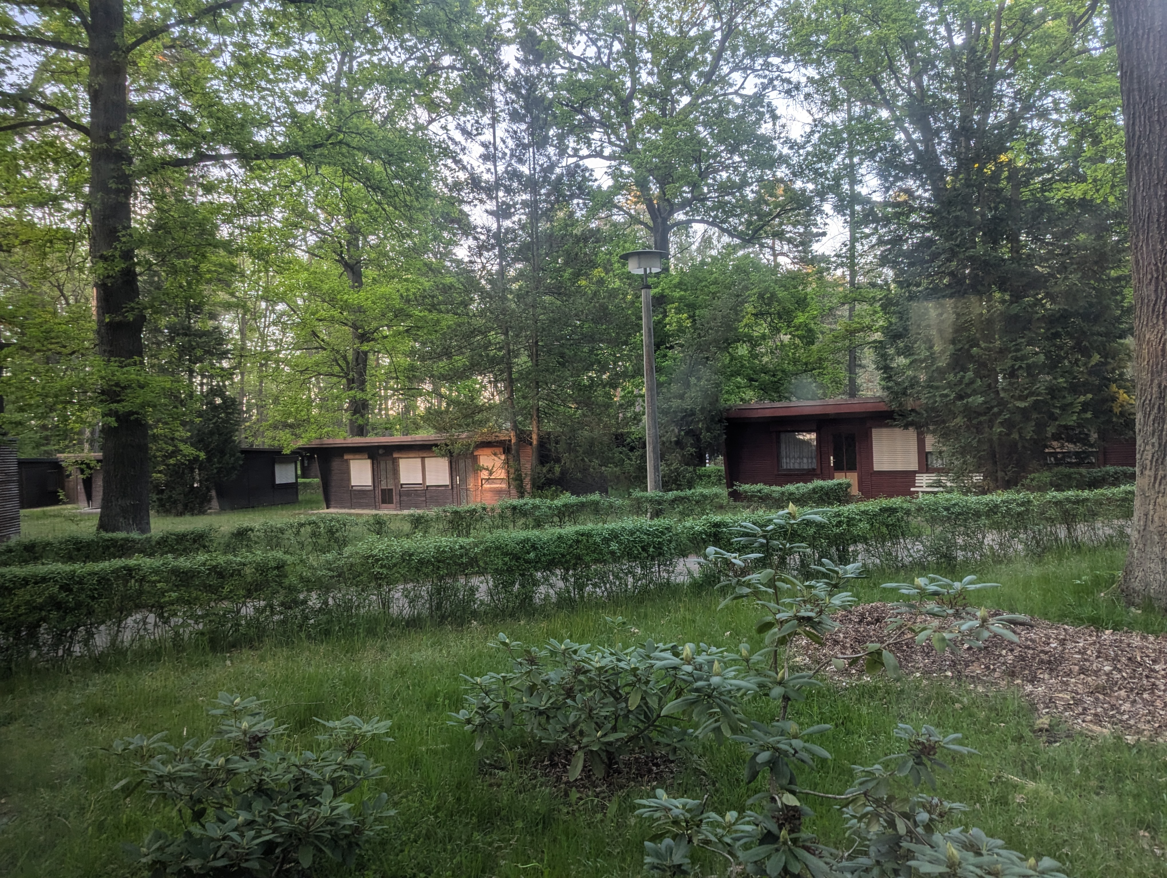 Bungalows zwischen Bäumen in der Kromlauer Siedlung